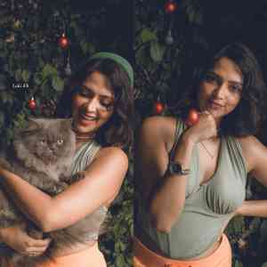 Amala Paul poses with cat, flaunts baby bump in candid video; 'reaching for the stars'