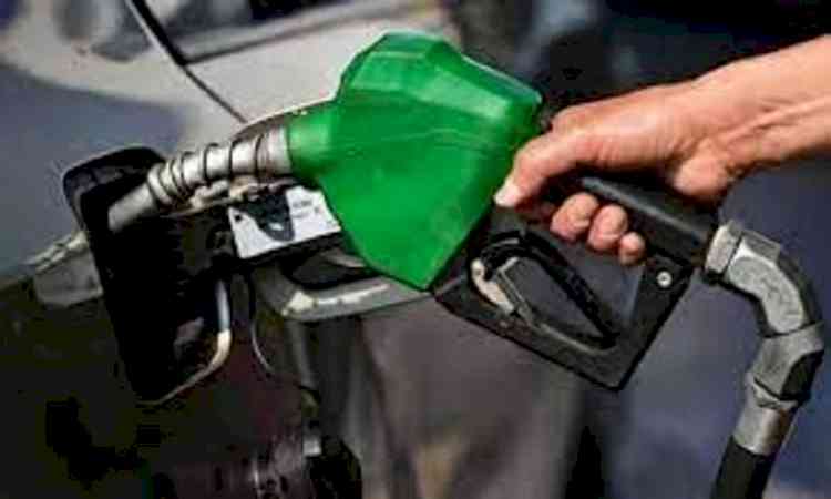 Sales of petroleum products rise to 7-month high