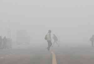 IMD warns of bone-chilling cold wave in North India, dense fog for 5 days