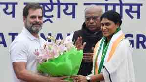 Sharmila appointed Andhra Pradesh Congress president