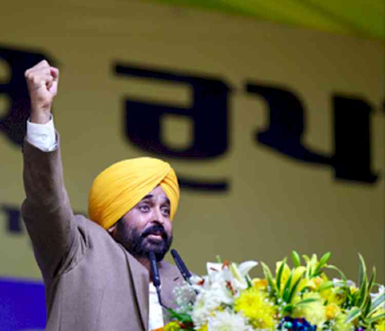 AAP will contest alone on all 13 parliamentary seats in Punjab: Mann