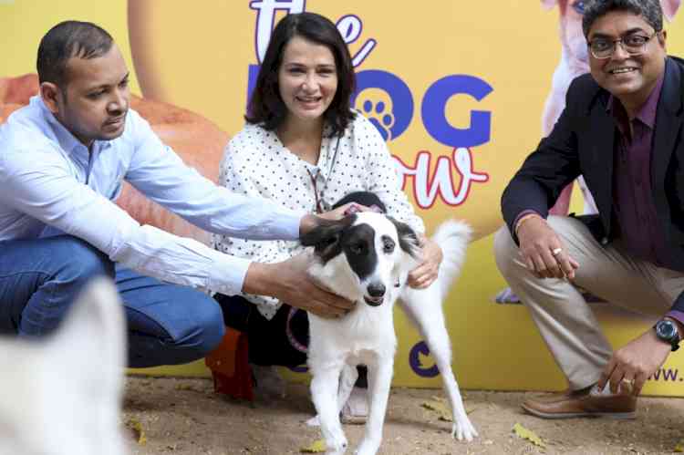 Blue Cross of Hyderabad hosts the second edition of the  #LoveMyIndie Dog Show with Mars Petcare