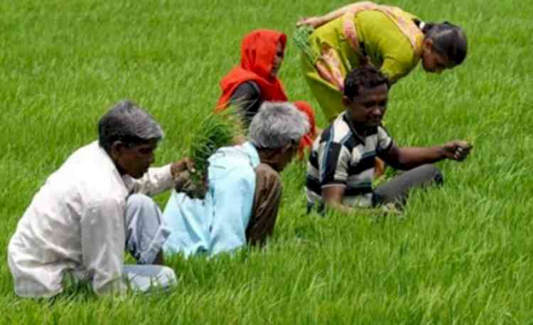 Enhancement in allocation of PM-Kisan, MGNREGS a possibility to provide relief to rural economy