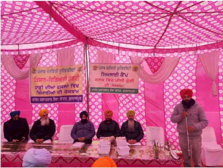 Gurdaspur farmers attend PAU's interactive session on rabi crops disease management