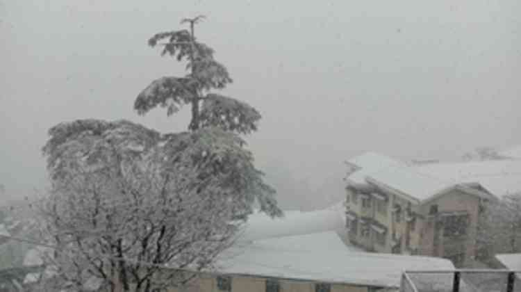 Shimla gets season’s first snowfall; tourists rush