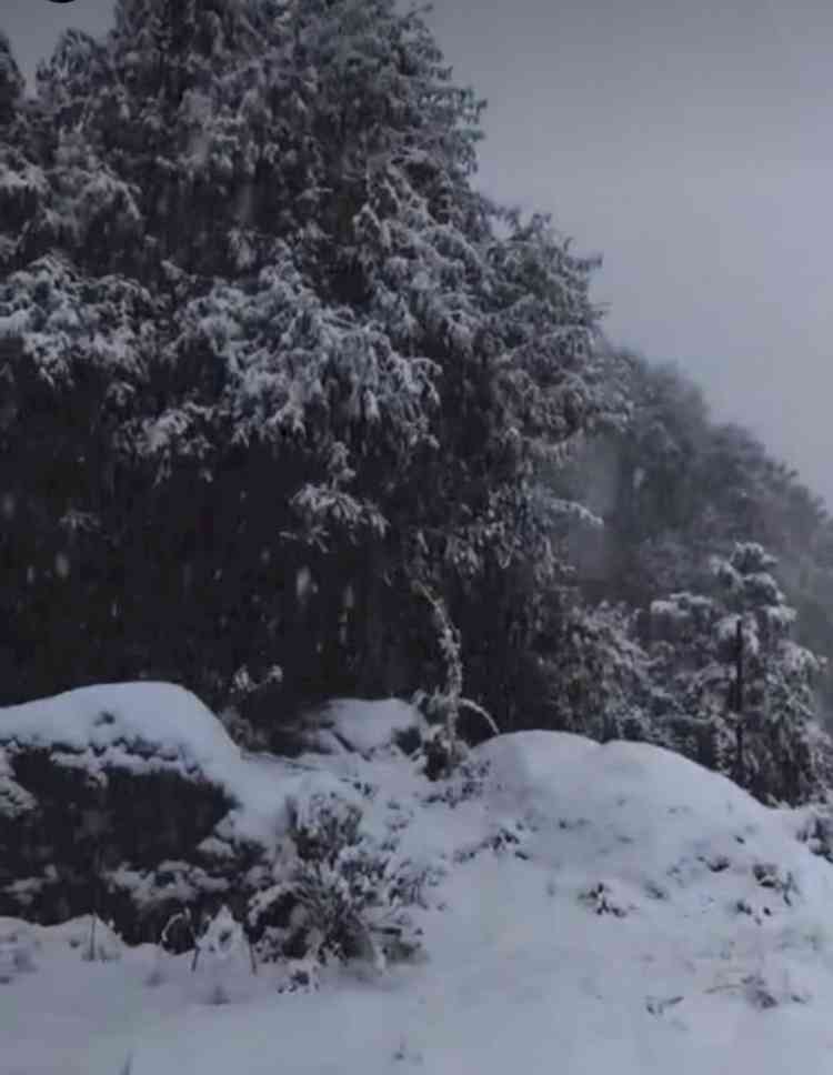 Snowfall blankets Himachal Pradesh; Orange alert issued by Meteorological Department