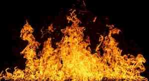 Himachal factory fire: 24 workers sustain burn injuries