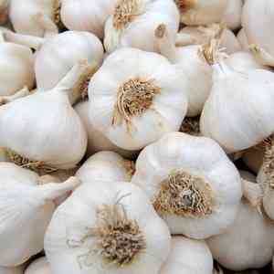 Garlic prices soar in Goa, restaurants hit 