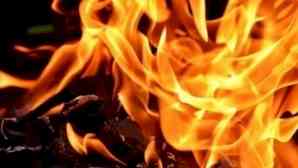 Gujarat: Massive fire breaks out in Banaskantha market; no casualties