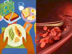 Consuming over 22 per cent protein daily may clog your arteries: Study
