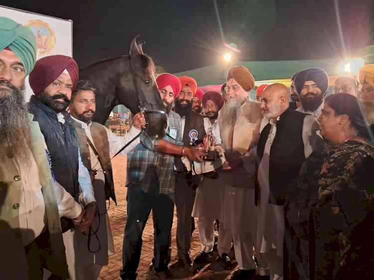 Kultar Singh Sandhwan assures support to promote equestrian sport in Punjab