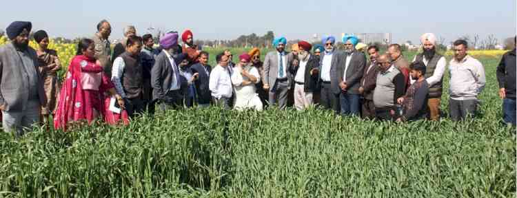 Punjab Agri-Director lauds PAU developed surface seeder technology for exceptional results