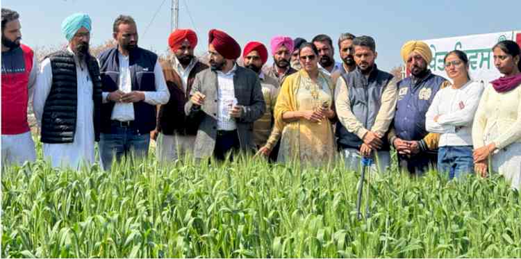 Training Programme and Field Day organized at Regional Station Bathinda under NABARD Sponsored Project