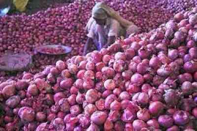 Govt allows export of onion to Bangladesh, UAE with riders