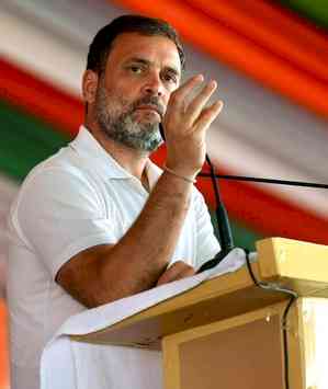 Rahul Gandhi writes to Kerala CM seeking CBI probe into death of veterinary student 