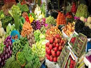India's horticulture production pegged at 355.25 million tonnes for 2023-24