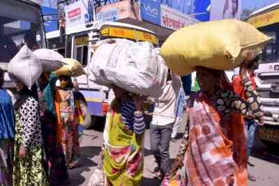 Rajasthan: Free travel for women in roadways buses on International Women's Day