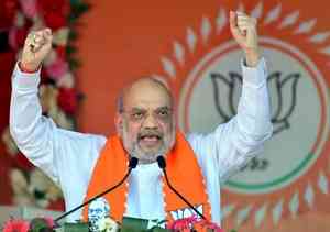 BJP's poll preparation in Telangana to get fillip with Amit Shah's visit 