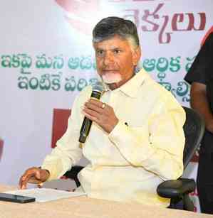 No differences with BJP except on special category status: Chandrababu Naidu