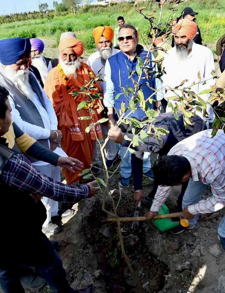 On World Sikh Environment Day, saplings planted on bank of `Buddha Dariya'