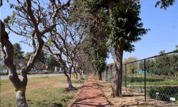 Colorful Spring Garden inaugurated at PAU