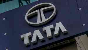 Tata Chemicals shares plunge more than 8 per cent