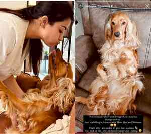 Rashmika Mandanna shares update on her pet dog 'Aura': 'She is chilling in Mysore'