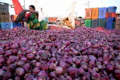 Govt directs NCCF, NAFED to start buying 5 lakh tonnes of onion directly from farmers