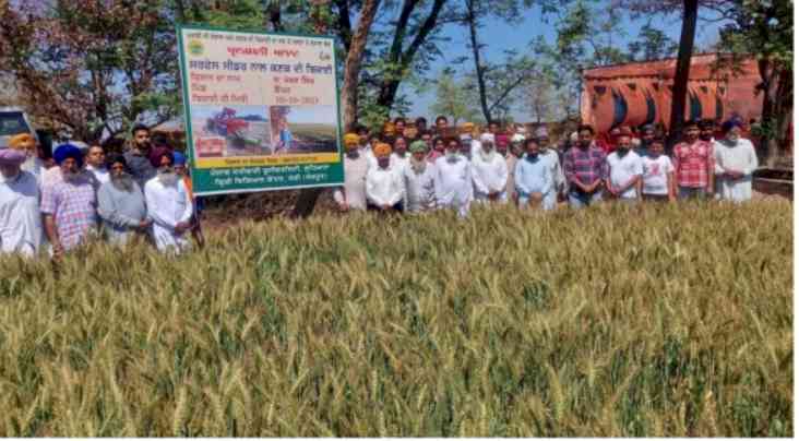 PAU- KVK Sangrur showcases benefits of surface seeder in wheat sowing during field day event