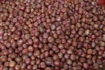 Govt allows additional 10,000 tonnes of onion exports to UAE