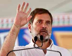 'Tribals mean forest dwellers for BJP', Rahul Gandhi says at MP poll rally