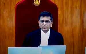CJI Chandrachud bats for junior lawyers' comfort during court proceeding