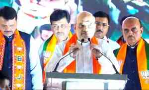 Amit Shah tears into 'fake' Sena, NCP, 'half-hearted' Congress at Maha rally