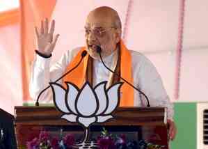 Amit Shah slams Congress chief Kharge over remarks on Article 370 