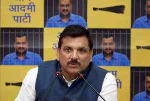 Kejriwal not allowed to meet wife face-to-face, alleges AAP MP Sanjay Singh