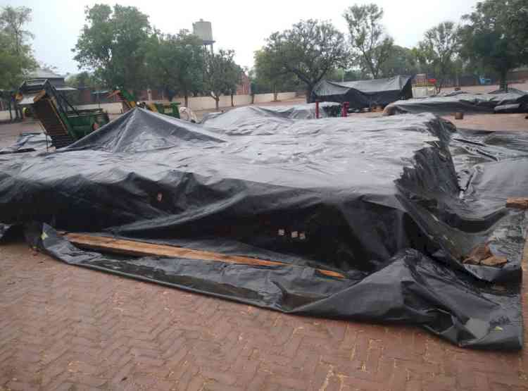 As inclement weather looms, District Administration ensures safety of farmers’ golden grains from rain