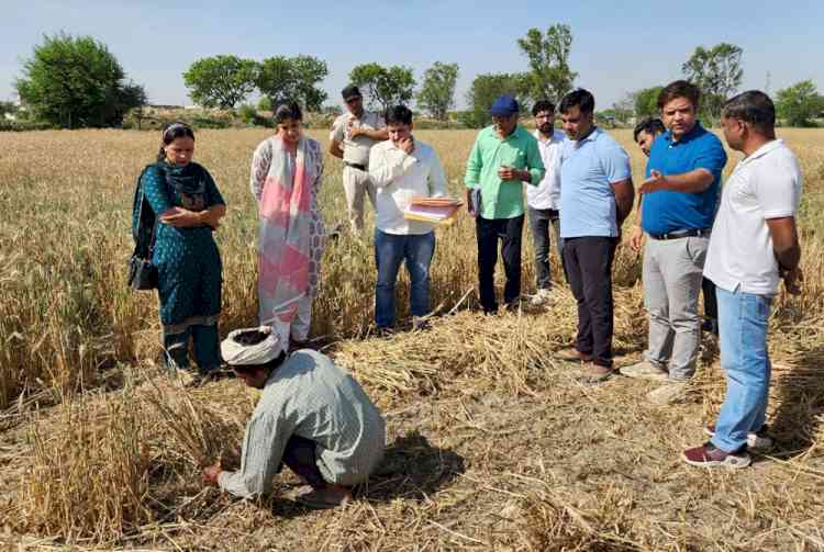 एडीसी वैशाली सिंह ने दिए फसल कटाई प्रयोग का कार्य ध्यानपूर्वक करने के आदेश