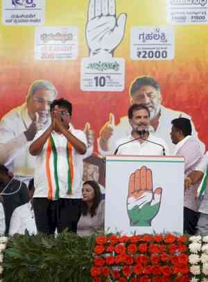 'Their govt is for 20-25 select people...', Rahul Gandhi's jibe at BJP in Karnataka rally