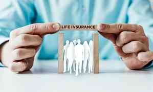 Indian insurance industry in FY24: Non-life grew by 12.8 pc, life at 2 pc