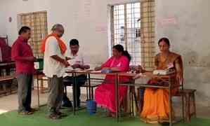 Maha's Vidarbha sees 7.28 pc polling in first two hours in five seats