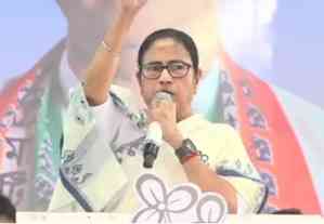 BJP sponsors opinion polls, don’t believe these surveys: Mamata Banerjee