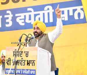 AAP volunteers' passion differentiates them from other parties: Punjab CM
