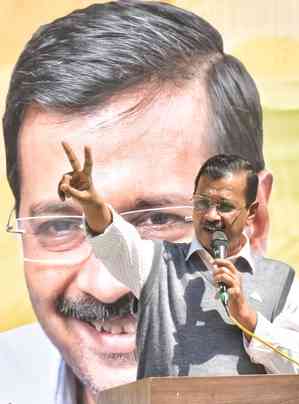 FairPoint: If mangoes were for bail, then CM Kejriwal would ride out of jail