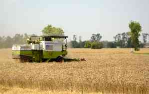 Punjab expected to procure 132 lakh metric tons wheat: Chief Secretary