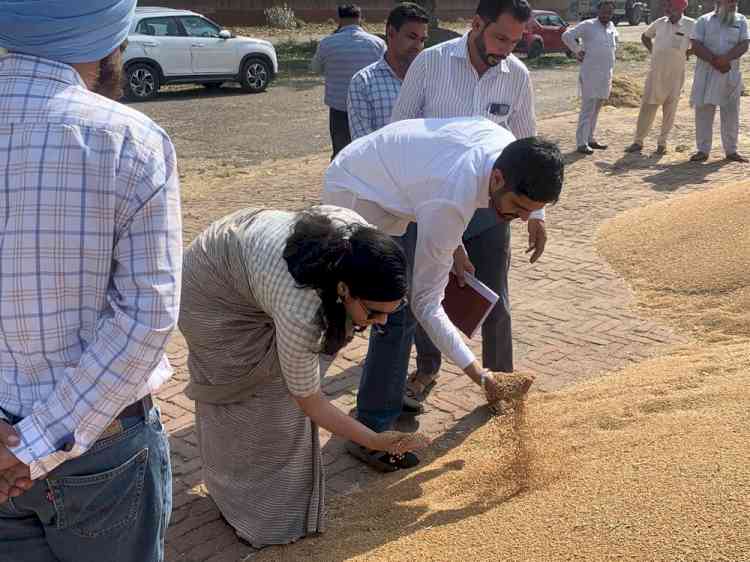 Speed up wheat lifting work, DC to procurement agencies 