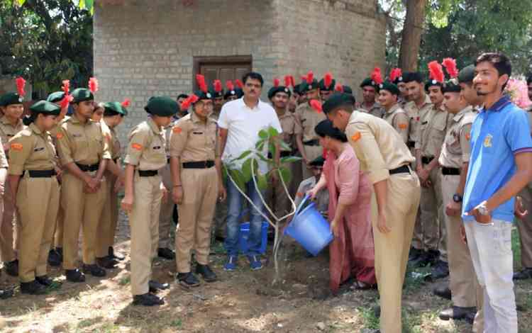 एनसीसी कैडेट्स ने पौधरोपण कर मनाया विश्व पृथ्वी दिवस