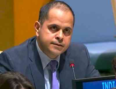 Making UNGA more effective can't be divorced from UNSC reforms: India