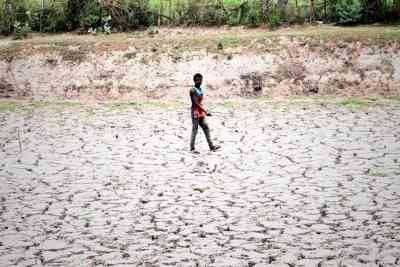 Just 55 pc water in reservoirs in TN’s drought-prone districts; farmers asked to switch crops 
