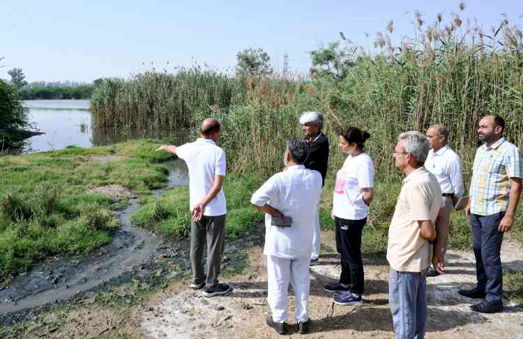 एमडीयू स्थित प्राकृतिक तालाब जैव विविधता झील के तौर पर विकसित किया जाएगा