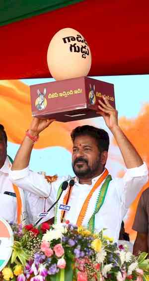 'Donkey's egg': CM Revanth Reddy's jibe on what BJP has 'given' Telangana